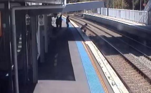 Мать спасла из-под колес поезда младенца, упавшего на рельсы (видео) 