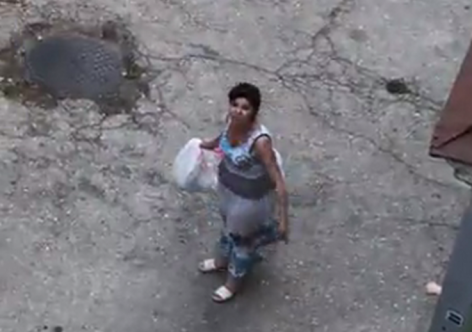 Севастопольская учительница выкинула котят вместе с мусором (видео)