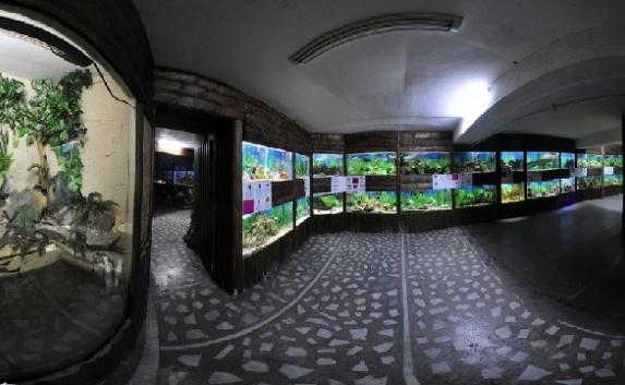 Крымчан приглашают бесплатно посетить аквариум и мини-зоопарк