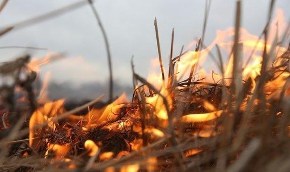 Крымчан и севастопольцев предупреждают о высокой пожароопасности
