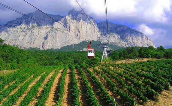 В Крыму до 2020 года появится 1500 гектаров виноградников — Аксёнов