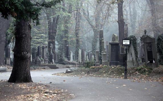Технологии дошли до кладбищ: специалисты разработали приложение по поиску могил