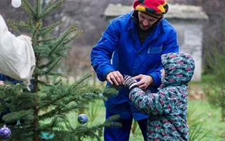 Новогодняя акция «Сохрани планету зелёной» прошла в Севастополе