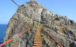 Самый длинный в Крыму подвесной мост открыли в Ялте (фото)