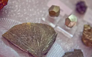 Севастопольцы увидели самоцветы и древние окаменелости на выставке «Крым самоцветный»