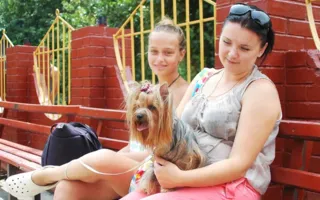 В Севастополе вручением Кубка мэра завершилась международная выставка собак «Балаклавская жемчужина»