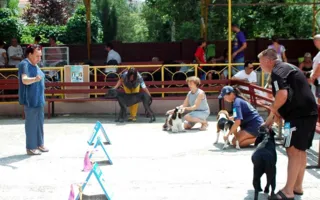В Севастополе вручением Кубка мэра завершилась международная выставка собак «Балаклавская жемчужина»