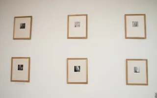 Художественное ню на выставке фотографий в Севастополе