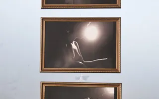 Художественное ню на выставке фотографий в Севастополе