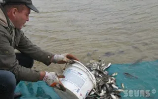 В Севастополе источник питьевой воды — Чернореченское водохранилище — зарыбили в целях биологической очистки водоема