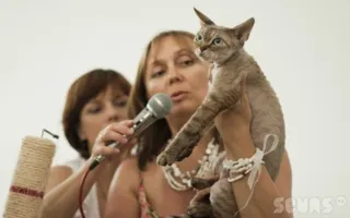 Самая пушистая выставка в Севастополе. Подведение итогов