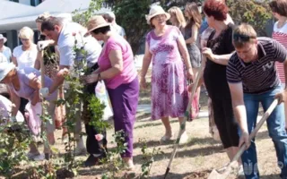 Севастопольцев поздравили с Днем города, высадив 229 кустов роз