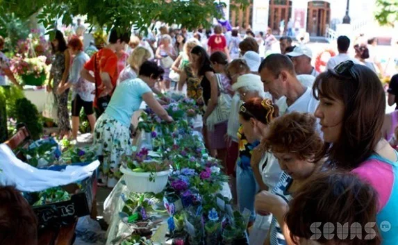 Выставка цветов: самый летний подарок ко Дню города