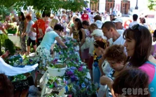Выставка цветов: самый летний подарок ко Дню города