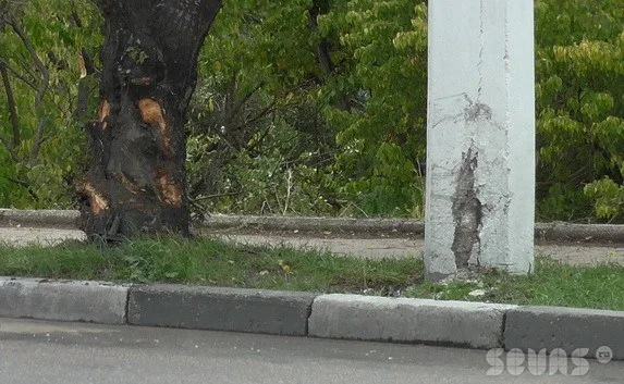 Иномарка врезалась в дерево в районе остановки «Дмитрия Ульянова». Видео последствий ДТП