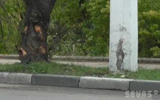 Иномарка врезалась в дерево в районе остановки «Дмитрия Ульянова». Видео последствий ДТП