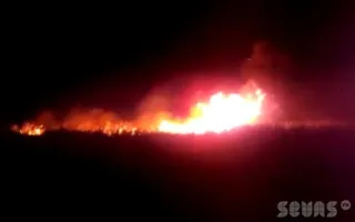 Пожарная команда в Орловке дожидалась, пока огонь сам догорит
