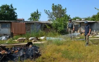 Житель Севастополя пытался сжечь гранату и два снаряда