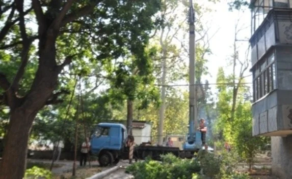 В Севастополе ветка упала на балконы жилых домов. Обошлось без жертв