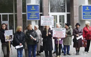 Средства на стерилизацию бездомных животных «освиваются», а животных убивают, считают защитники животных