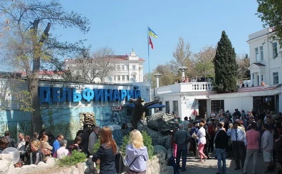 Резолюция пикета предпринимателей ООО «Страна Дельфиния» 21 мая