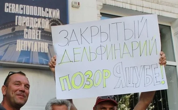 Пикет предпринимателей «Страны Дельфинии» пообещал развернуть палаточный городок под окнами Яцубы