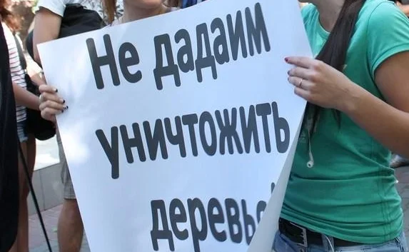 «Не ДАДАИМ уничтожить деревья!» В Севастополе митинговали против неудовлетворительного состояния Приморского бульвара