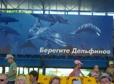 Севастопольский дельфинарий 25 мая начал свою работу
