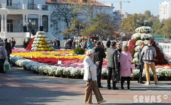 Богданов поделил севастопольцев на две группы: горожане и дебилоиды