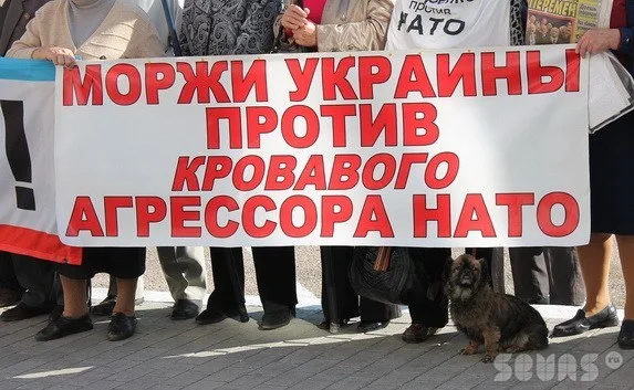 Антинатовские пикетчики на понятном для «оккупантов» языке объясняли, почему им надо убираться вон 