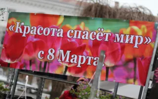 «Красота спасёт мир!»: в Севастополе открылась цветочная выставка, посвящённая Международному женскому дню