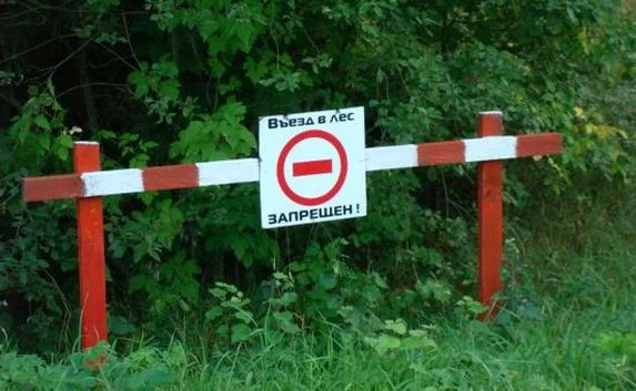 В Крыму запрещено въезжать на автомобиле в лес