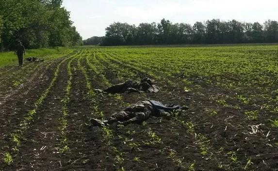 В боях под Волновахой убиты 20 человек, 40 ранены