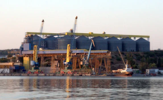 «Севморзавод» и «Авлиту» могут национализировать