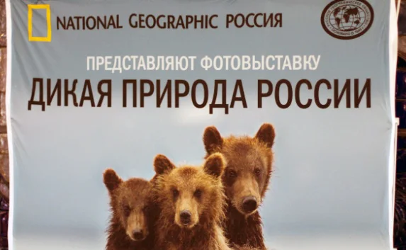 Фотовыставка «Дикая природа России — 2013» вновь в Севастополе