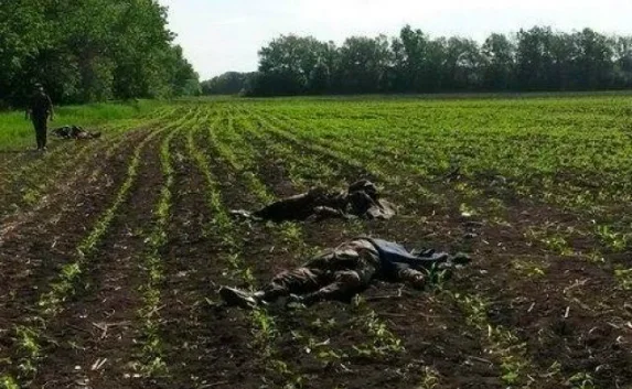 За время перемирия на востоке Украины погибли 27 военных