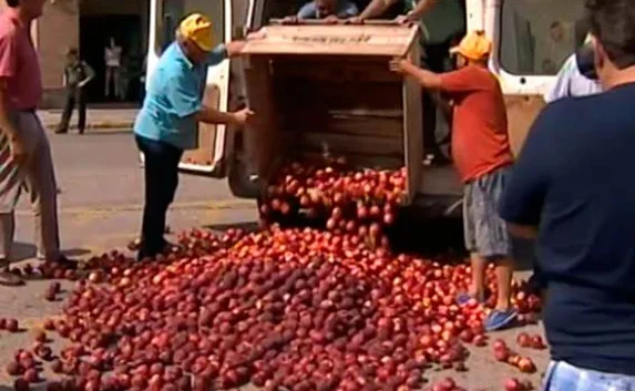 Испанские фермеры жгут флаги ЕС на кучах персиков