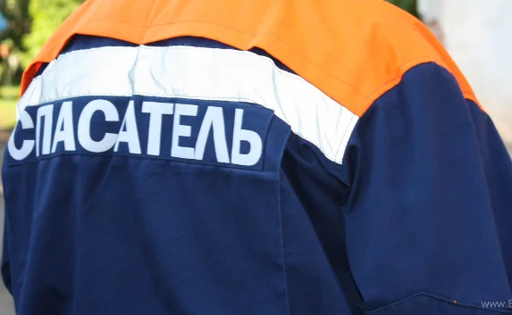 ​На сайте МЧС организован поиск людей