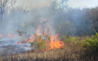 В Севастополе горело поле возле Монастырского шоссе