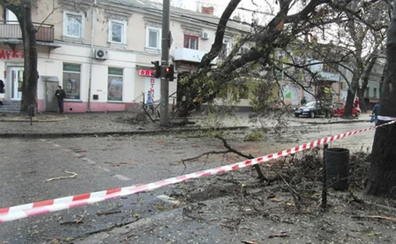 В Севастополе возвращают свет в дома, обесточенные из-за бури
