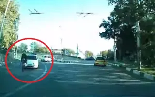 В Севастополе замечены «неадекватные» пешеходы