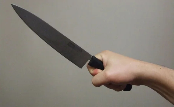 Восьмиклассник зарезал охранника за запрет зайти в школу в Подмосковье