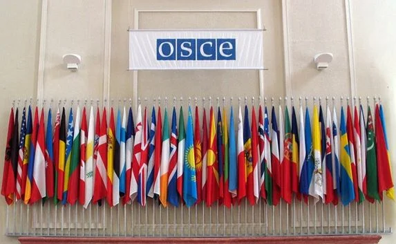 ОБСЕ не смогла принять декларацию по Украине