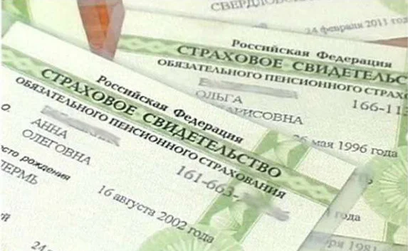 ​СНИЛС теперь изготовляют в Севастополе