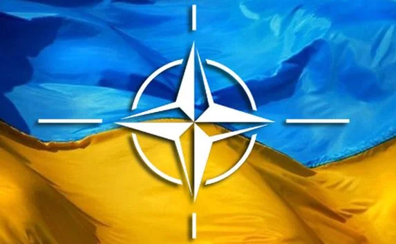 Генсек НАТО назвал условия вступления Украины в альянс
