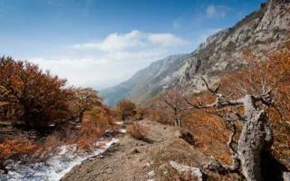 ​В Крыму туристов будут спасать добровольцы