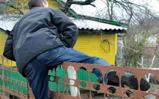 В Севастополе дачный вор-наркоман обчистил дом своей соседки