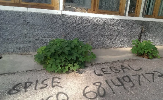 На рекламу спайсов в Севастополе власти закрыли глаза