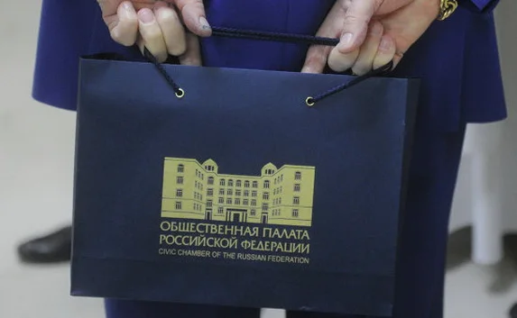 Общественную палату утвердят Заксобрание и Правительство 50 на 50 