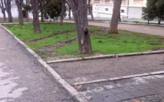 В Севастополе мусорные машины ездят по тротуарам и газонам